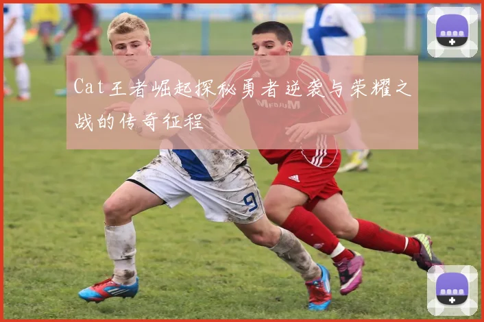 Cat王者崛起探秘勇者逆袭与荣耀之战的传奇征程