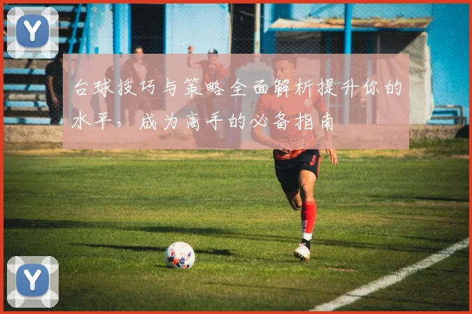 台球技巧与策略全面解析提升你的水平，成为高手的必备指南