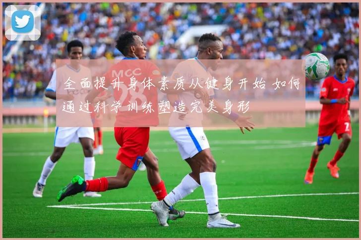 全面提升身体素质从健身开始 如何通过科学训练塑造完美身形