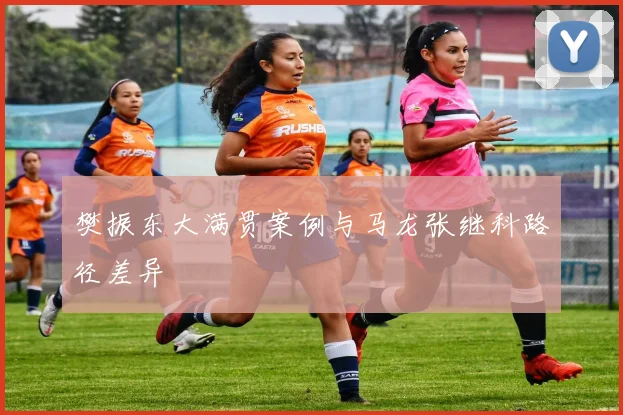 樊振东大满贯案例与马龙张继科路径差异