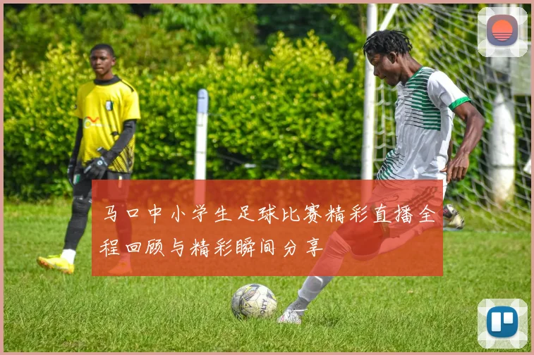 马口中小学生足球比赛精彩直播全程回顾与精彩瞬间分享
